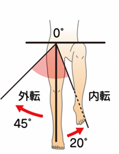 股関節（内転・外転）