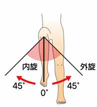 股関節（内旋・外旋）