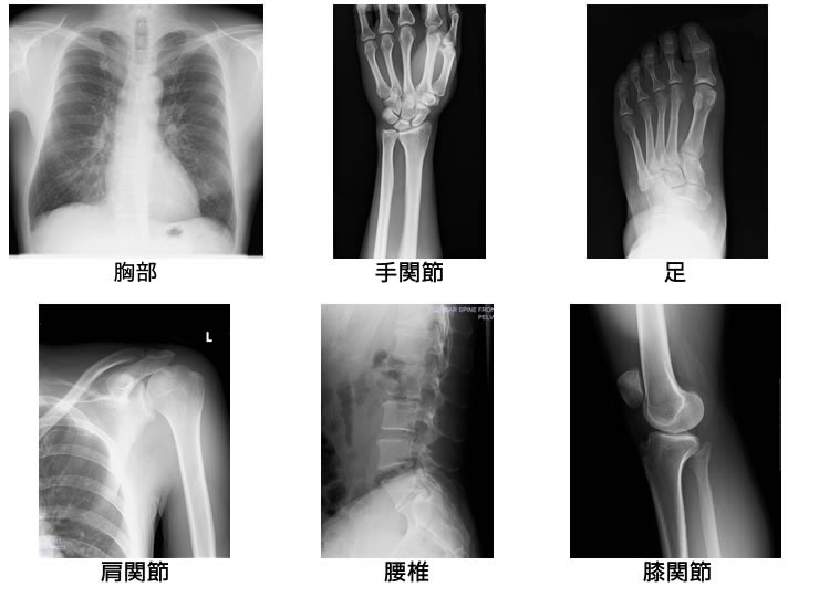 一般撮影室[写真]